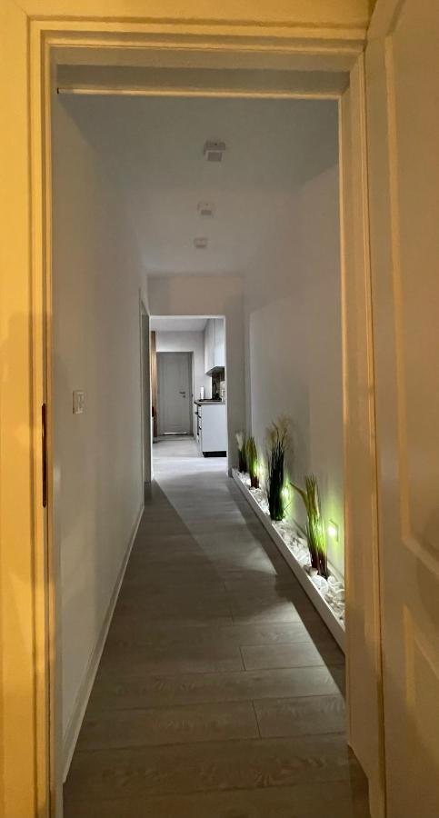 Oxana Apartments - 3 Camere - Temeşvar Dış mekan fotoğraf