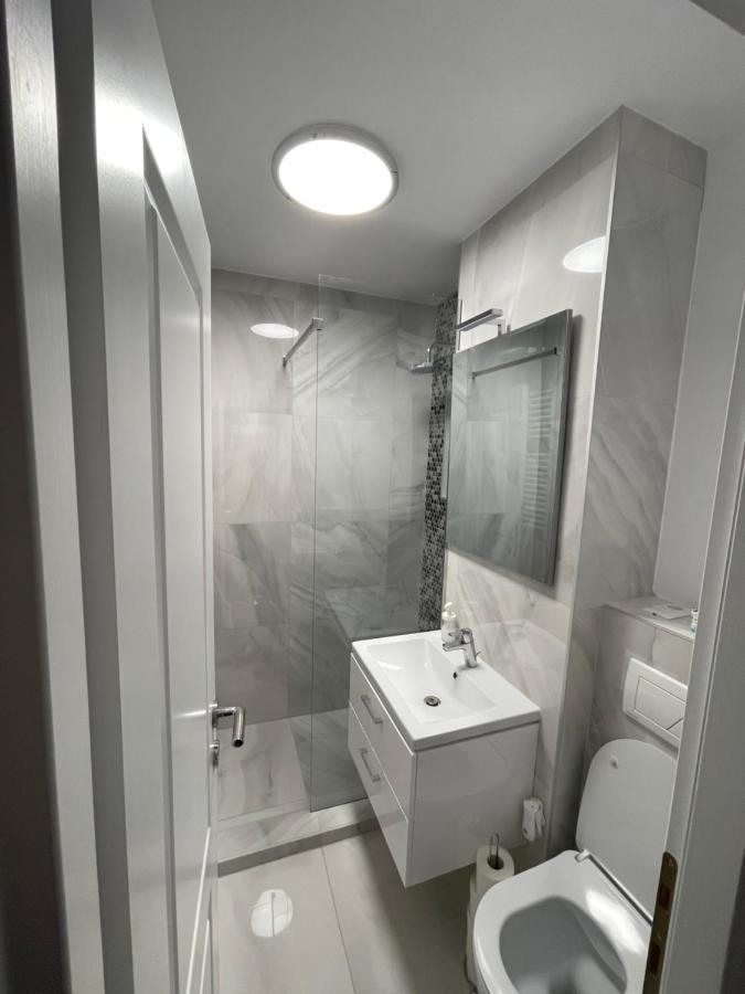 Oxana Apartments - 3 Camere - Temeşvar Dış mekan fotoğraf