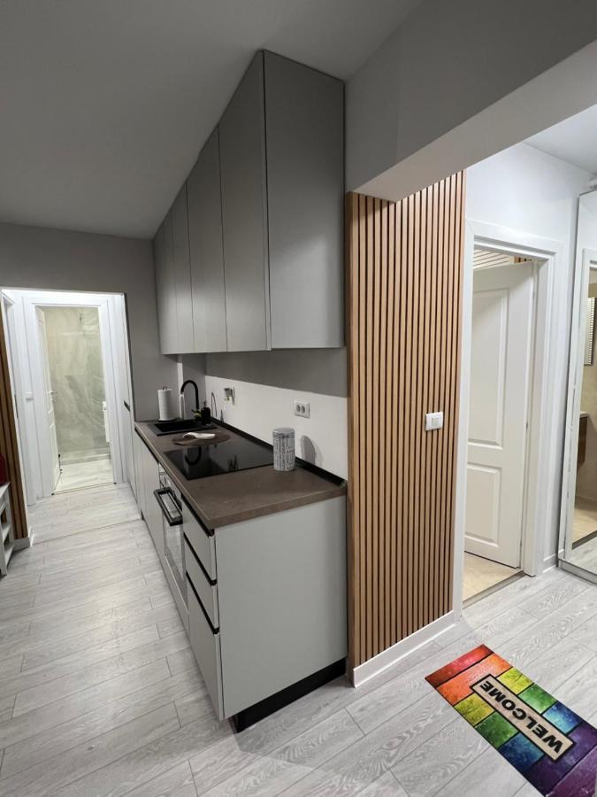Oxana Apartments - 3 Camere - Temeşvar Dış mekan fotoğraf