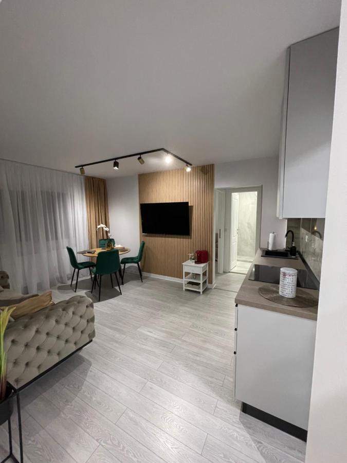 Oxana Apartments - 3 Camere - Temeşvar Dış mekan fotoğraf