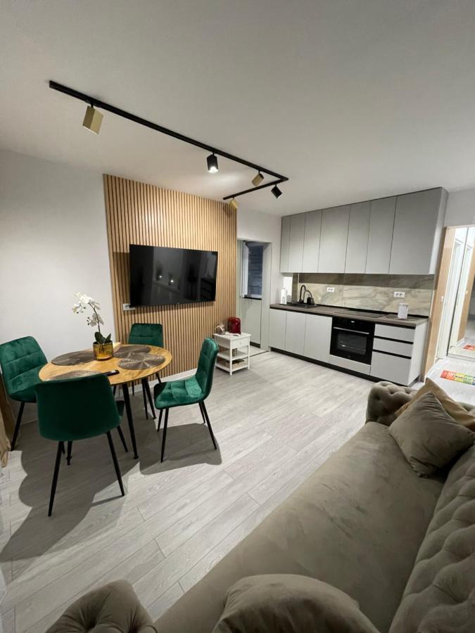 Oxana Apartments - 3 Camere - Temeşvar Dış mekan fotoğraf