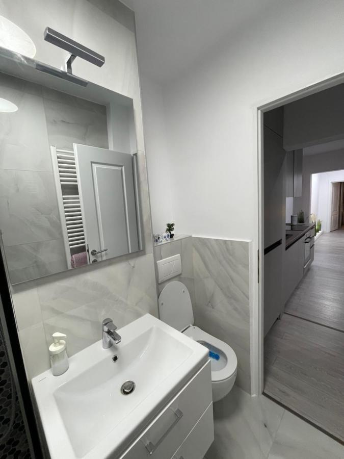 Oxana Apartments - 3 Camere - Temeşvar Dış mekan fotoğraf