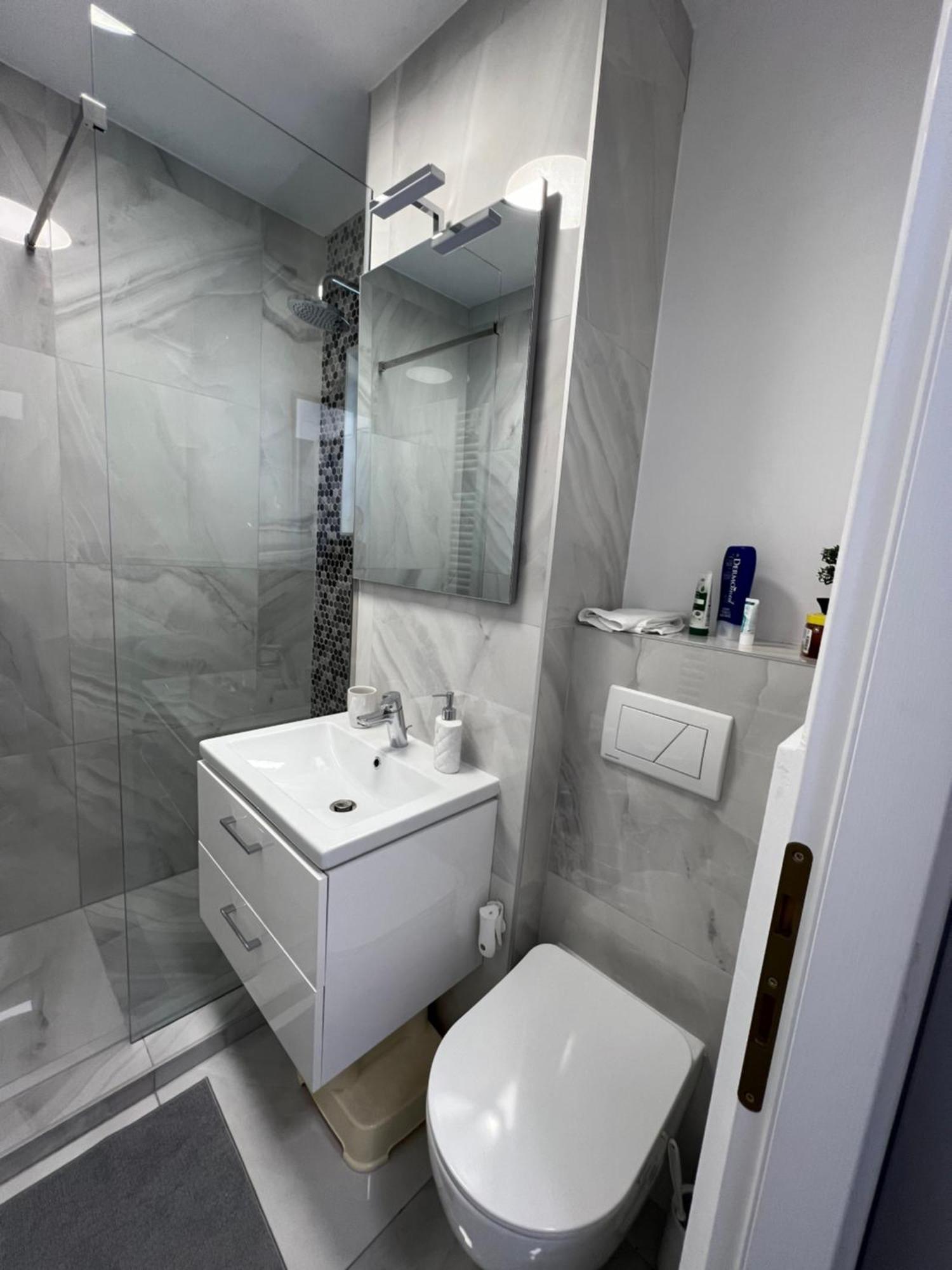 Oxana Apartments - 3 Camere - Temeşvar Dış mekan fotoğraf